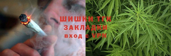spice Богданович