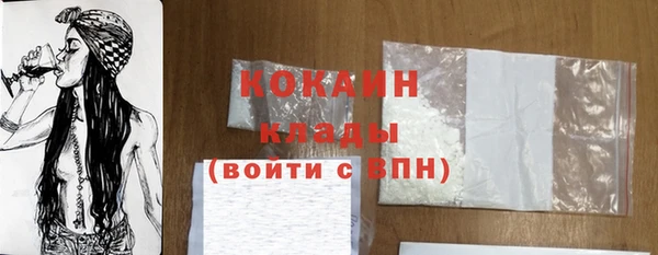 кокс Богородицк