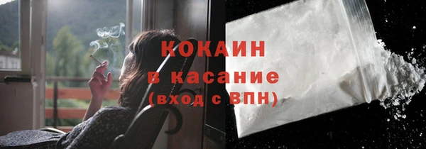 spice Богданович
