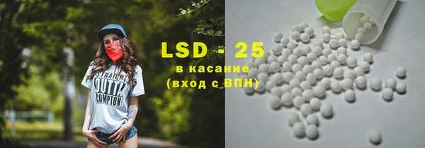 ГАЛЛЮЦИНОГЕННЫЕ ГРИБЫ Сосновый Бор