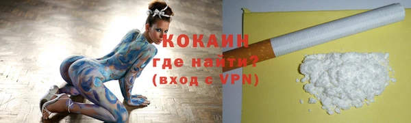 spice Богданович