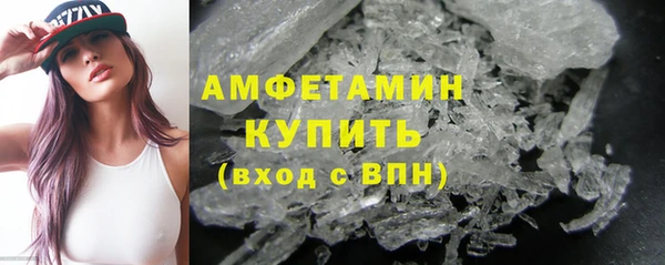 spice Богданович