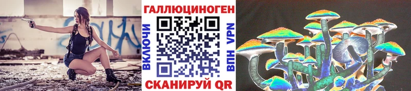 Псилоцибиновые грибы Cubensis Малая Вишера